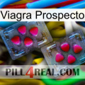 Prospecto Viagra 15